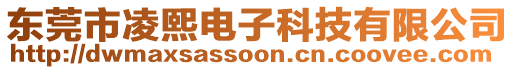 東莞市凌熙電子科技有限公司