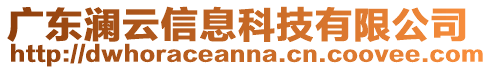 廣東瀾云信息科技有限公司