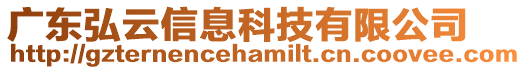 廣東弘云信息科技有限公司