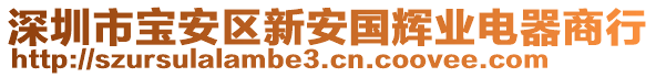 深圳市寶安區新安國輝業電器商行