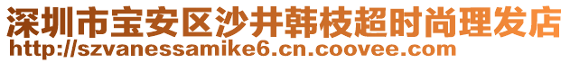 深圳市寶安區(qū)沙井韓枝超時(shí)尚理發(fā)店