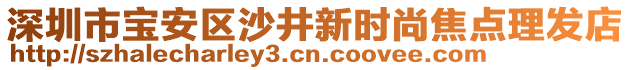 深圳市寶安區(qū)沙井新時尚焦點理發(fā)店