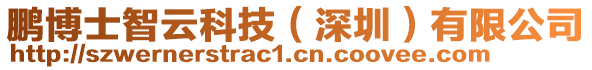 鵬博士智云科技（深圳）有限公司