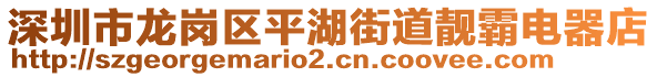 深圳市龍崗區(qū)平湖街道靚霸電器店