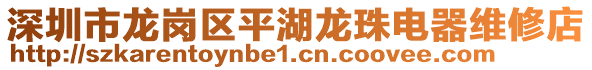 深圳市龍崗區(qū)平湖龍珠電器維修店