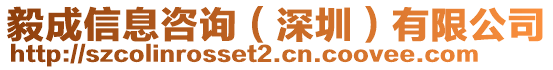 毅成信息咨詢（深圳）有限公司