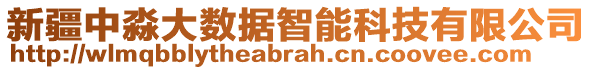 新疆中淼大數(shù)據(jù)智能科技有限公司