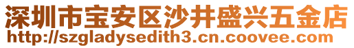 深圳市寶安區(qū)沙井盛興五金店