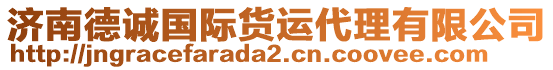 濟(jì)南德誠國際貨運(yùn)代理有限公司