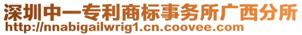 深圳中一專利商標事務所廣西分所