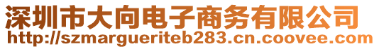 深圳市大向電子商務有限公司
