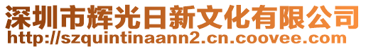 深圳市輝光日新文化有限公司