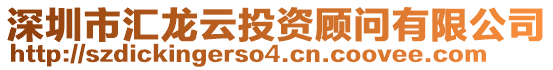 深圳市匯龍?jiān)仆顿Y顧問(wèn)有限公司