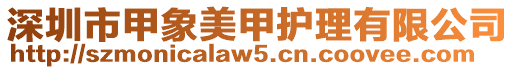 深圳市甲象美甲護理有限公司