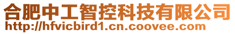 合肥中工智控科技有限公司