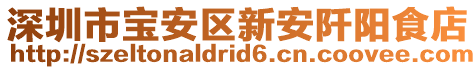 深圳市寶安區新安阡陽食店