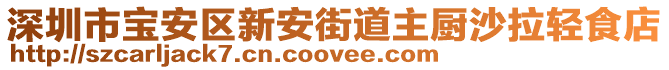 深圳市寶安區(qū)新安街道主廚沙拉輕食店