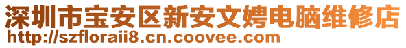深圳市寶安區(qū)新安文娉電腦維修店