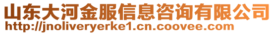 山東大河金服信息咨詢有限公司
