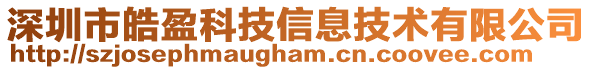 深圳市皓盈科技信息技術有限公司