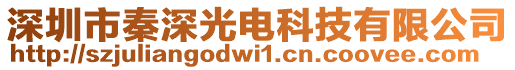 深圳市秦深光電科技有限公司