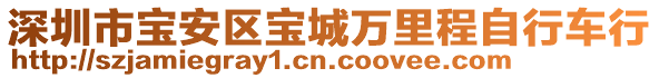 深圳市寶安區(qū)寶城萬里程自行車行