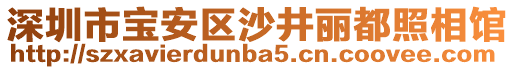 深圳市寶安區(qū)沙井麗都照相館