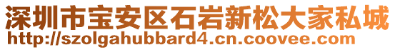 深圳市寶安區(qū)石巖新松大家私城