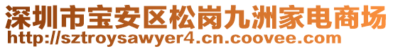 深圳市寶安區(qū)松崗九洲家電商場