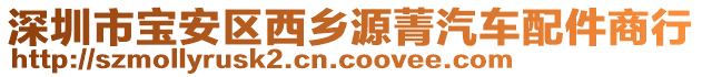 深圳市寶安區(qū)西鄉(xiāng)源菁汽車配件商行