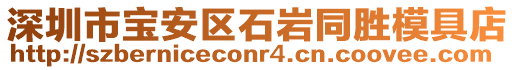 深圳市寶安區石巖同勝模具店