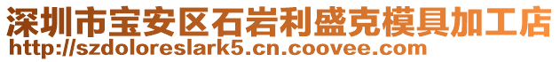 深圳市寶安區石巖利盛克模具加工店