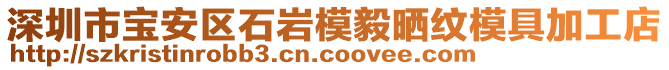深圳市寶安區(qū)石巖模毅曬紋模具加工店