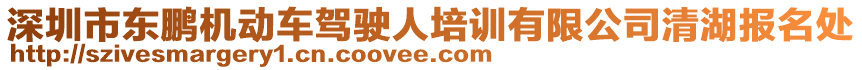 深圳市東鵬機(jī)動(dòng)車駕駛?cè)伺嘤?xùn)有限公司清湖報(bào)名處