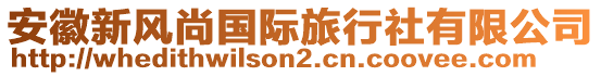 安徽新風尚國際旅行社有限公司