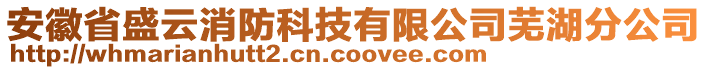 安徽省盛云消防科技有限公司蕪湖分公司