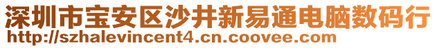 深圳市寶安區沙井新易通電腦數碼行