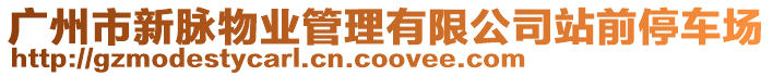 廣州市新脈物業(yè)管理有限公司站前停車場(chǎng)