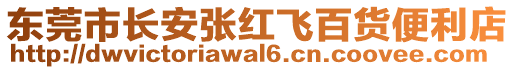 東莞市長安張紅飛百貨便利店