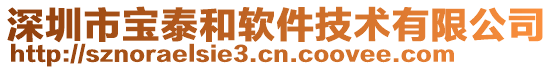 深圳市宝泰和软件技术有限公司