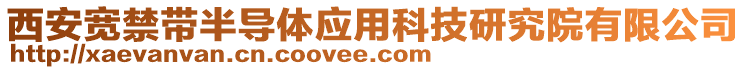 西安寬禁帶半導(dǎo)體應(yīng)用科技研究院有限公司