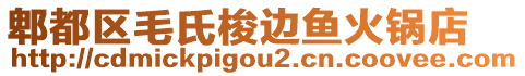 郫都區(qū)毛氏梭邊魚火鍋店