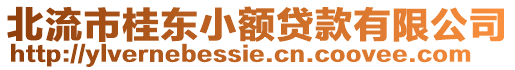 北流市桂東小額貸款有限公司