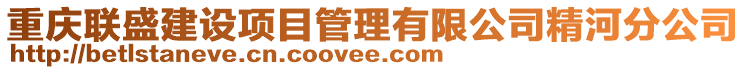 重慶聯(lián)盛建設項目管理有限公司精河分公司