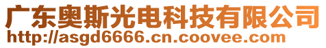 廣東奧斯光電科技有限公司