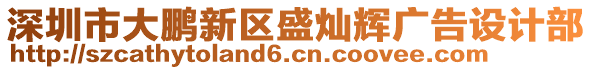 深圳市大鵬新區盛燦輝廣告設計部