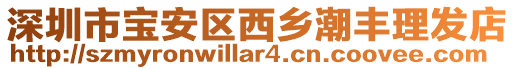 深圳市寶安區西鄉潮豐理發店