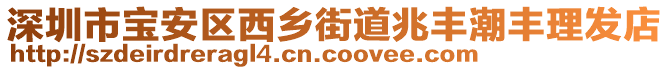 深圳市寶安區西鄉街道兆豐潮豐理發店