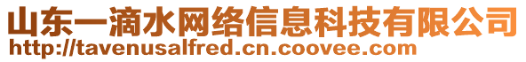 山東一滴水網絡信息科技有限公司
