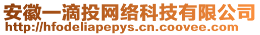 安徽一滴投網絡科技有限公司
